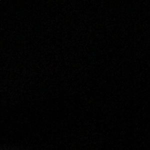 Meet your Posher, Tyson